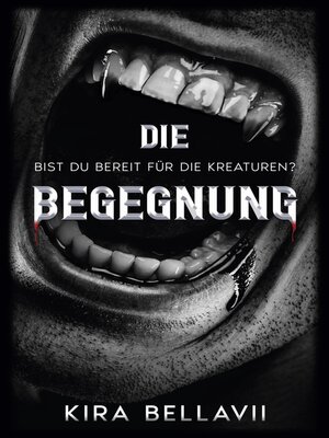 cover image of Die Begegnung